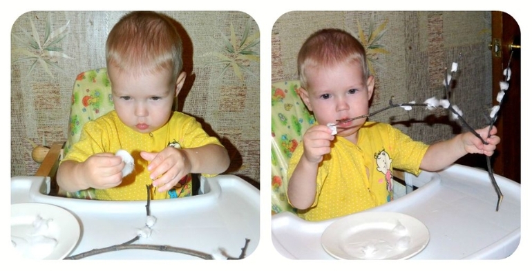 ТН Дерево в разное время года.