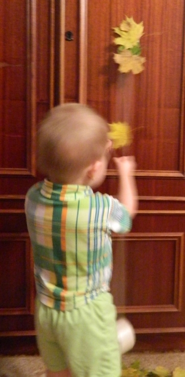 ТН Дерево в разное время года.