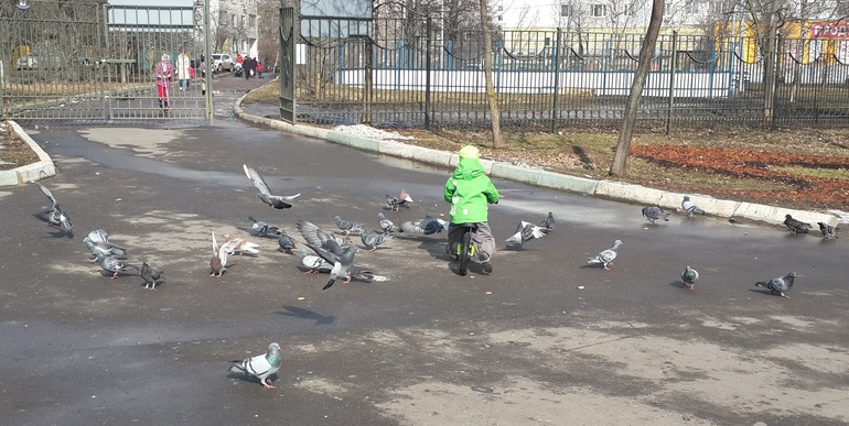 Идеальная одежда из надежных рук)))) REIMA