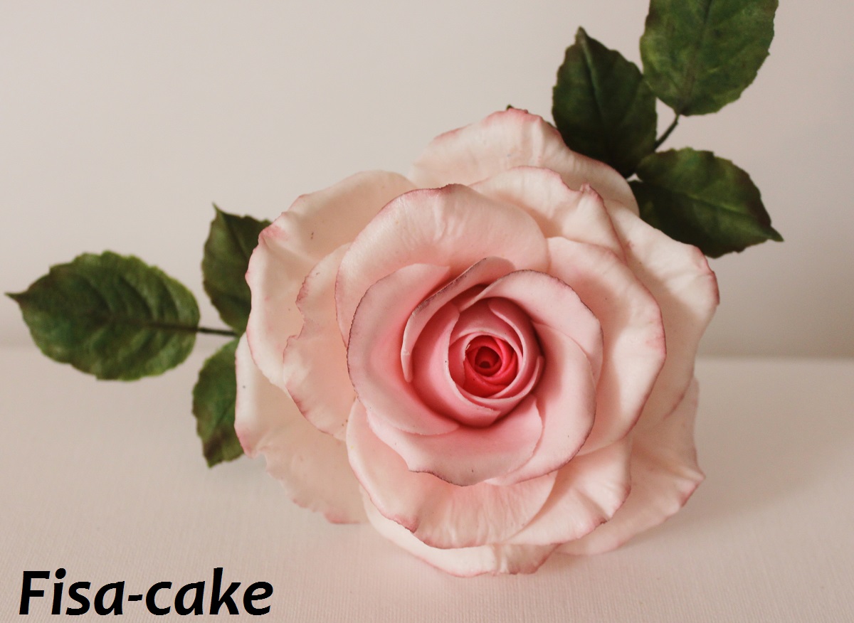 Розка.... первая)