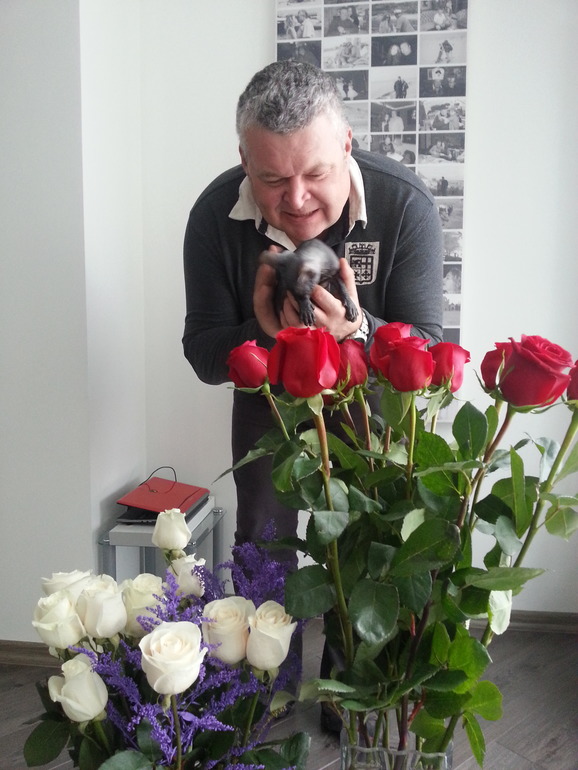 "Если у вас есть кошка, вы возвращаетесь не в дом, а домой".