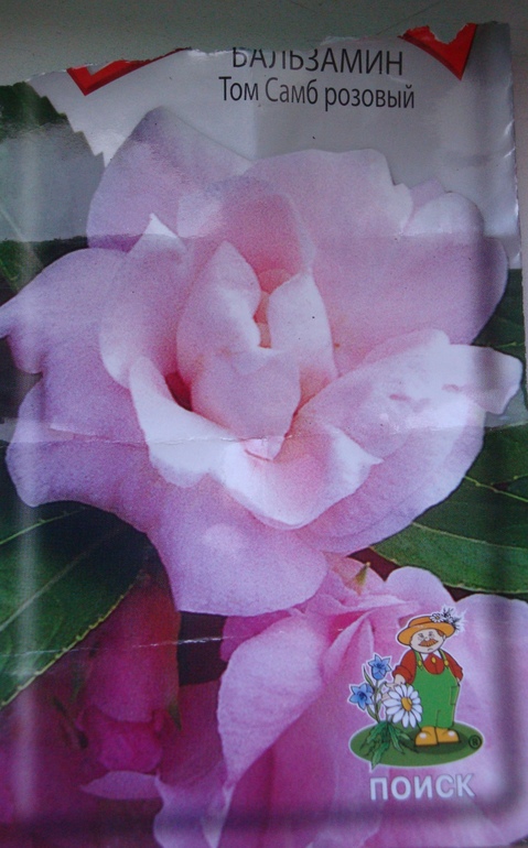 Почему погиб?