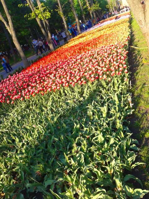 Наши первые карусели...:))