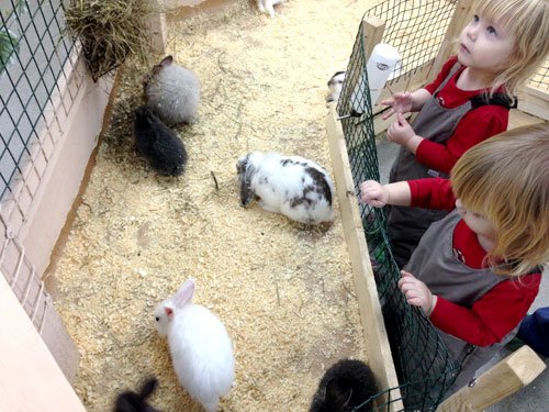 О том, как мы тискали зверюшек