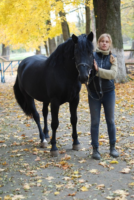 Мое хобби и любовь всей жизни!