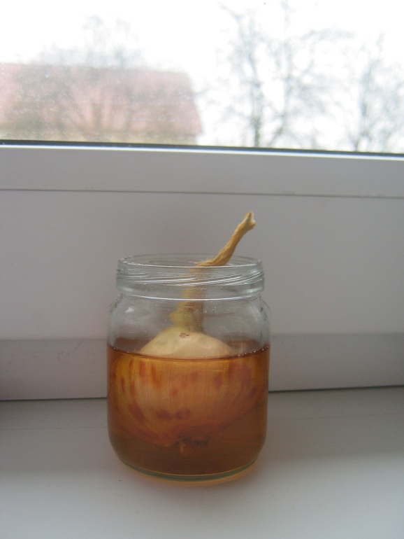 Наша развивающая неделя