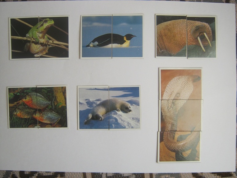 Пробное занятие по методу Шичиды