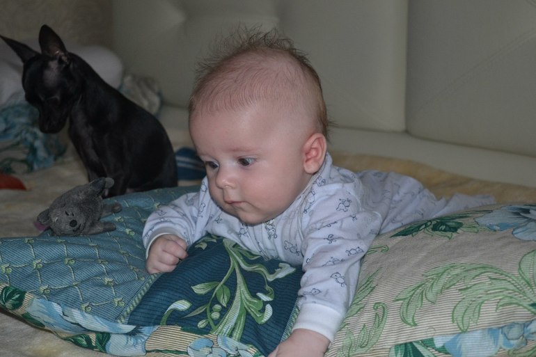 Мои тойчики :)