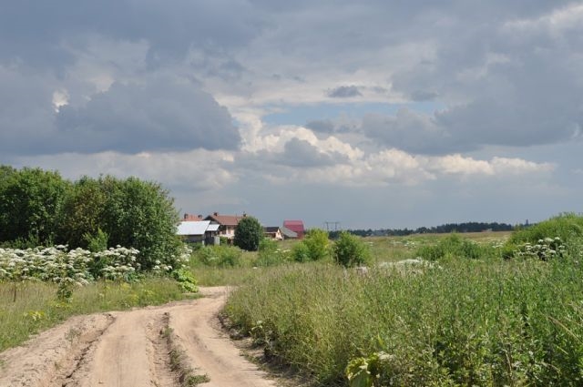 Лето в деревне Старая Слобода))))!!