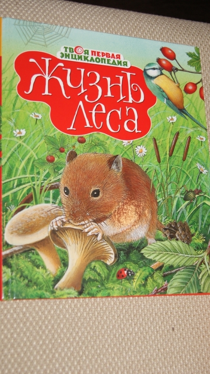 ТН Птицы. День 3,4,5