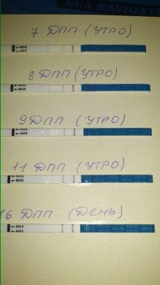 статистика двух протоколов со счастливым концом + фото тестов