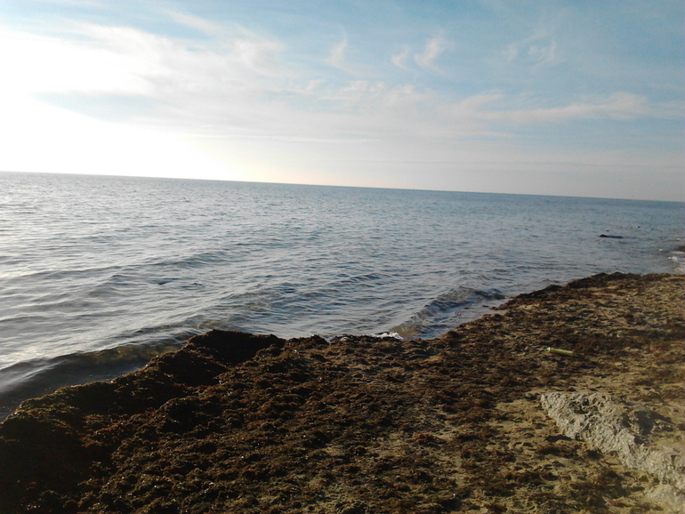 Марафон-день третий!