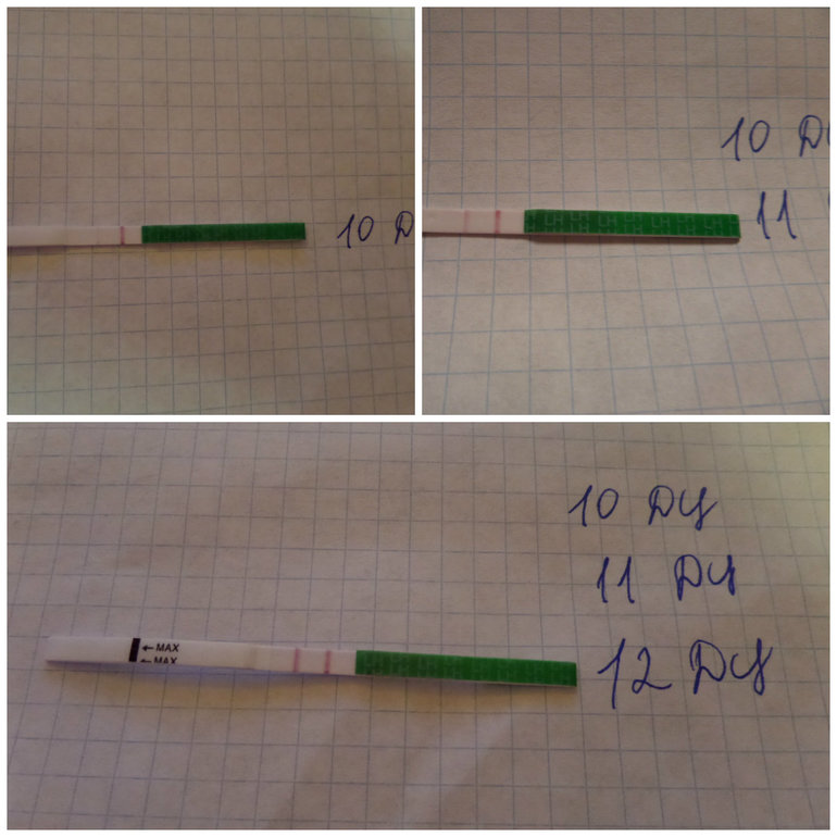 О. на носу?! :))