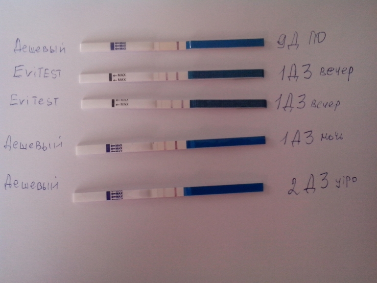 Получилось или нет?