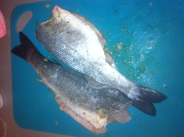 Сибас мой любимый!!!!