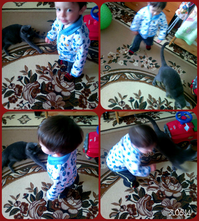 ФотоДневник. 31 мая 2014