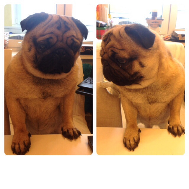 На меня напало кулинарное настроение