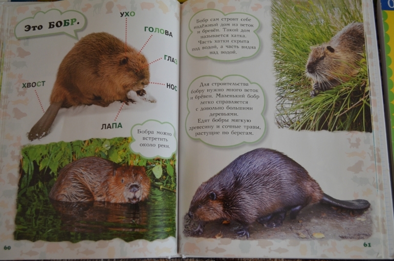 наши новые книги