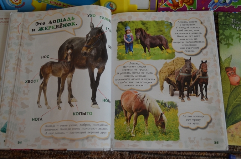 наши новые книги