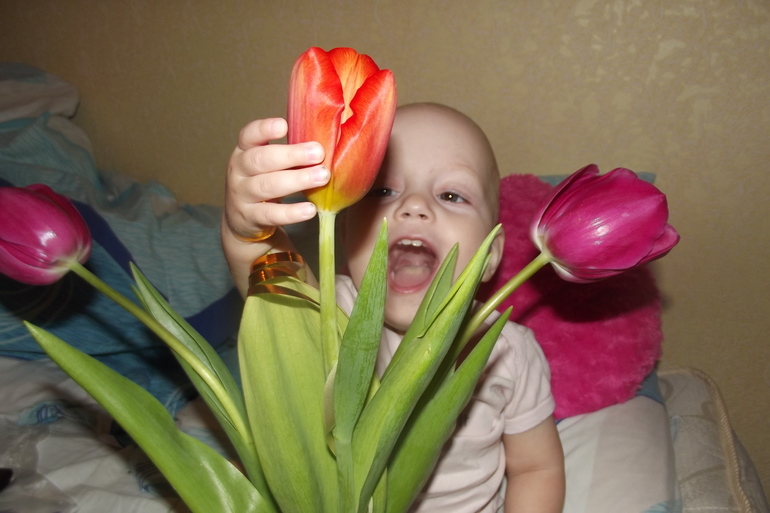 первые цветы)