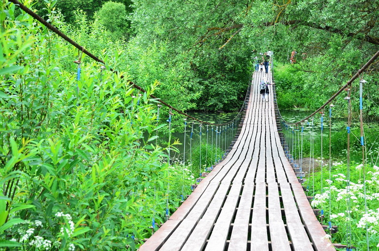 ВОРОБЬИный день :)