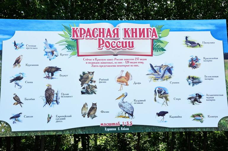 ВОРОБЬИный день :)