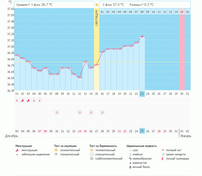 Когда была овуляция, и можно ли надеяться?