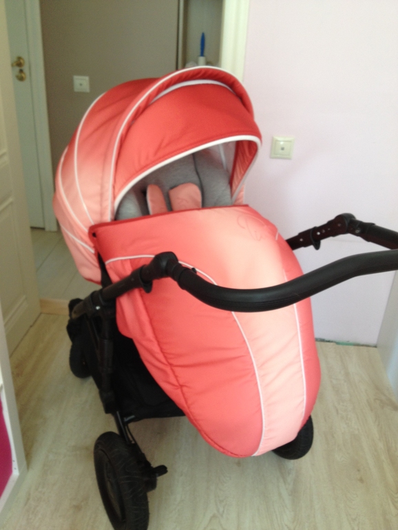 Продаю свою любимицу, красавицу Tutis Zippy Pia цвет Rubin.