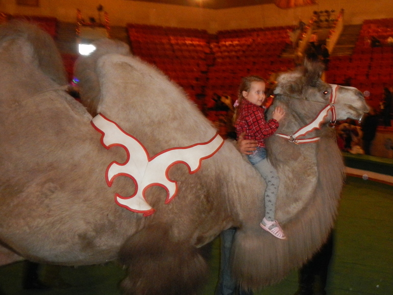 Кострома! Терем Снегурочки. Цирк.