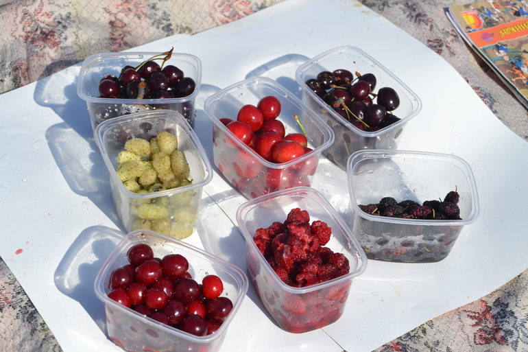 Фруктовый пикник