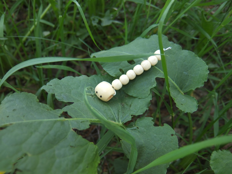 Спектакль. Сказка про гусеницу, которая стала бабочкой.