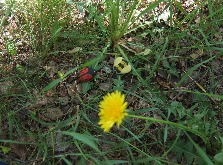 Спектакль. Сказка про гусеницу, которая стала бабочкой.