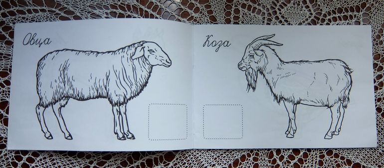 В дорогу... 2,5 года