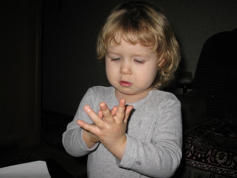 Лепка. Животные.