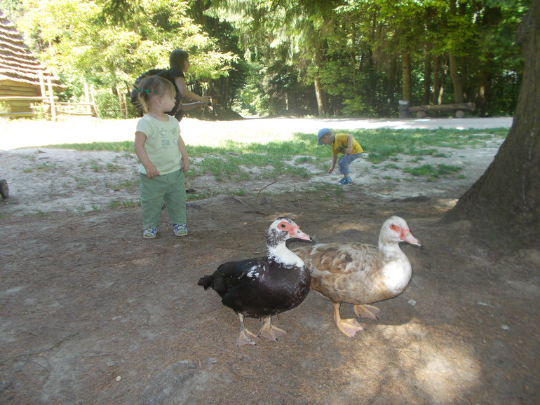Чудесная ББ встреча)))) 24.05.2014 Шевченковский Гай.