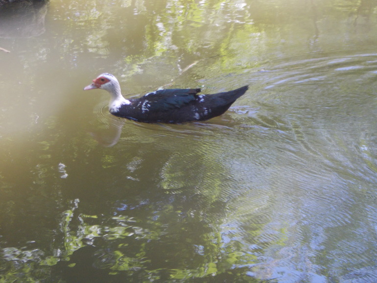 Чудесная ББ встреча)))) 24.05.2014 Шевченковский Гай.