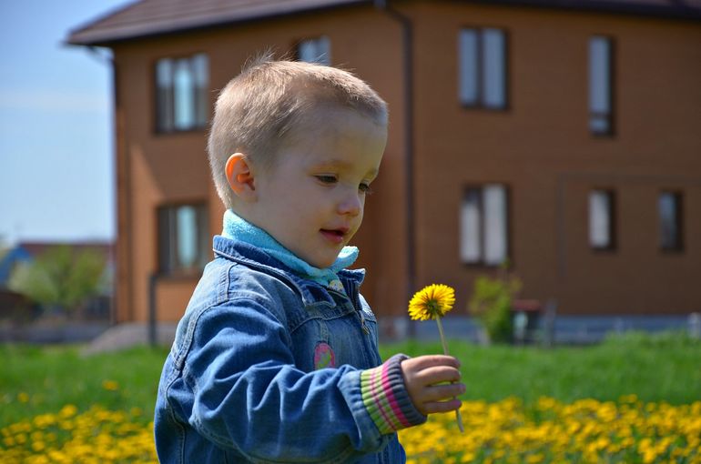 Зачем строить дом??? (с фото)