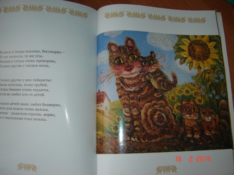 О кошках и котах