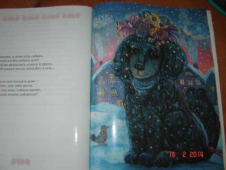 О кошках и котах