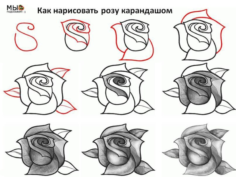 Картинки по этапно рисовать Картинки по этапно рисовать