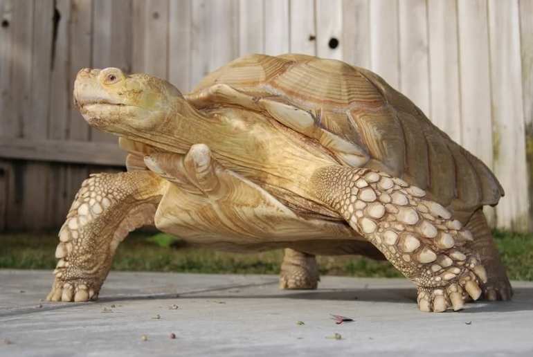 У природы кончились краски.