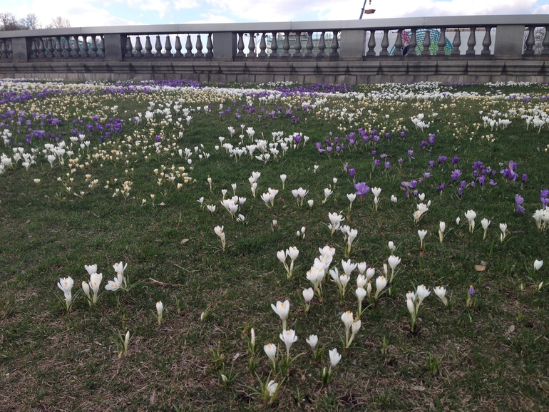 Москва для родителей с малышом. Парк Горького и Парк Музеон