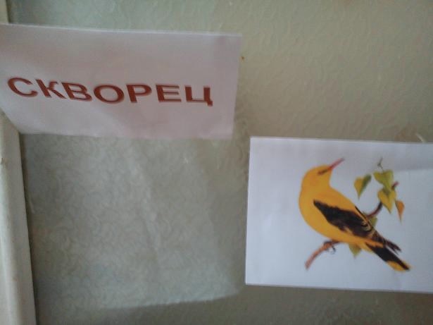 Перелетные птицы День 5.