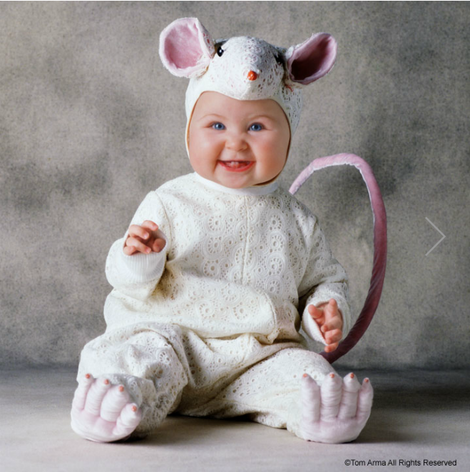 Пожалуйста, спасите животных