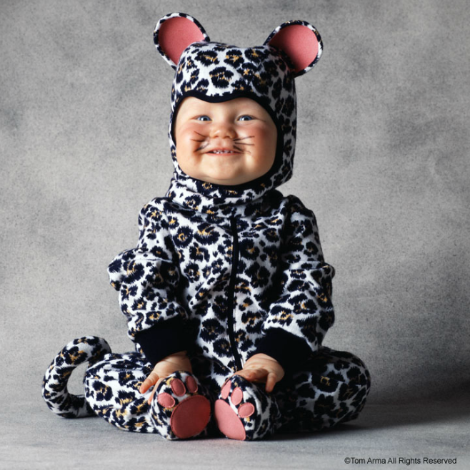 Пожалуйста, спасите животных