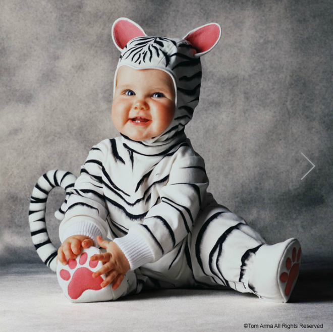 Пожалуйста, спасите животных