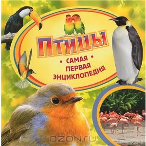 самая первая энциклопедия