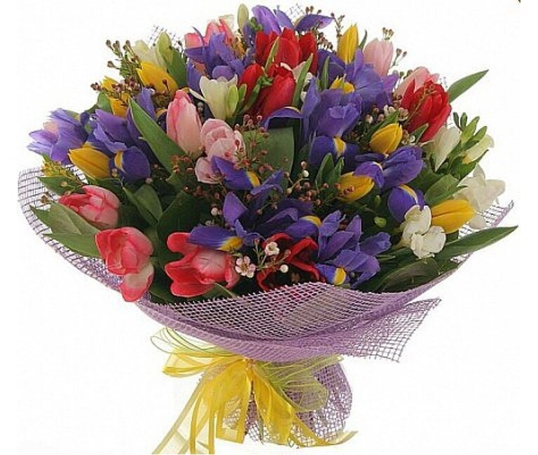 Наши новые Модераторы! Ура-ура-ура!!!