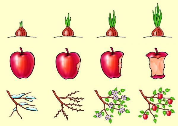 Логические цепочки