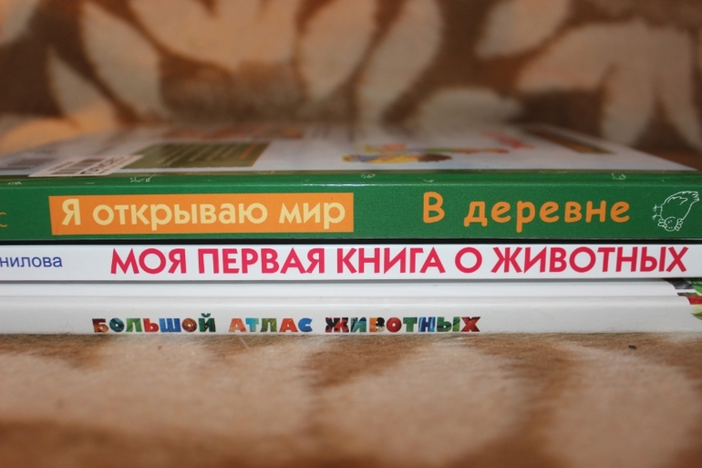 Отчет по ТН